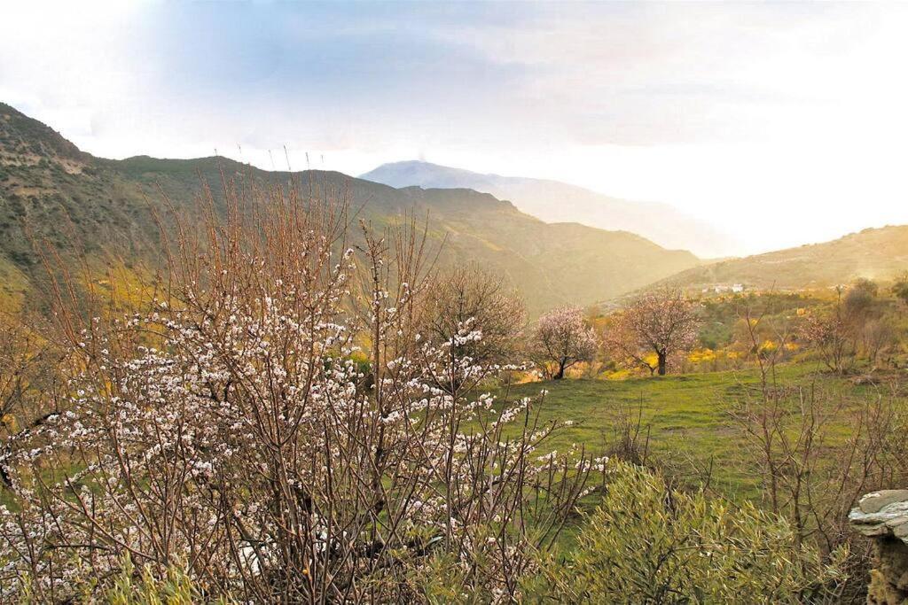 Casa Carmela, Rural House With Spectacular Views, In An Exquisite Area Villa Atalbeitar Exterior photo