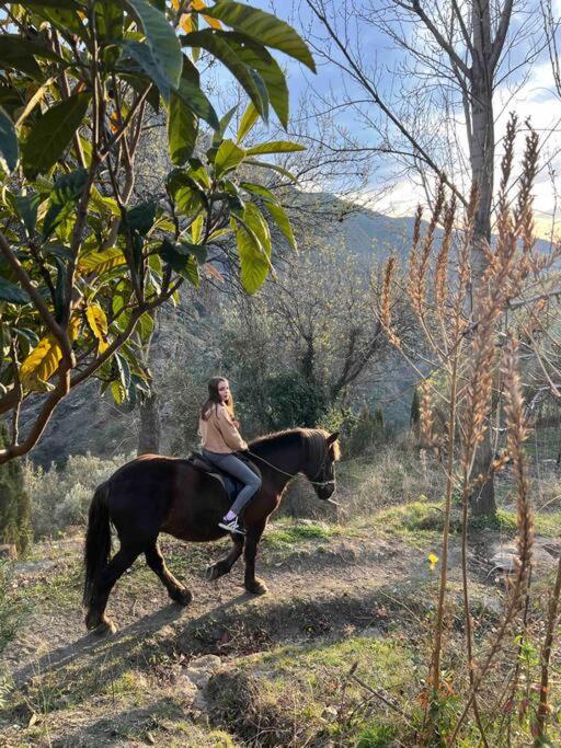 Casa Carmela, Rural House With Spectacular Views, In An Exquisite Area Villa Atalbeitar Exterior photo